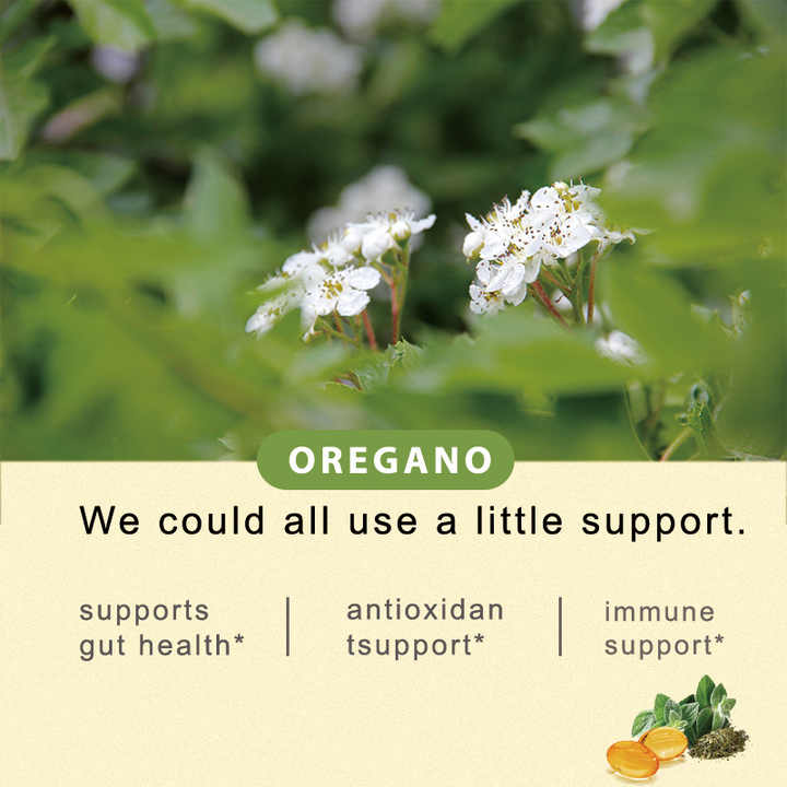 Oil Of Oregano Tablets | 30 Day Supply