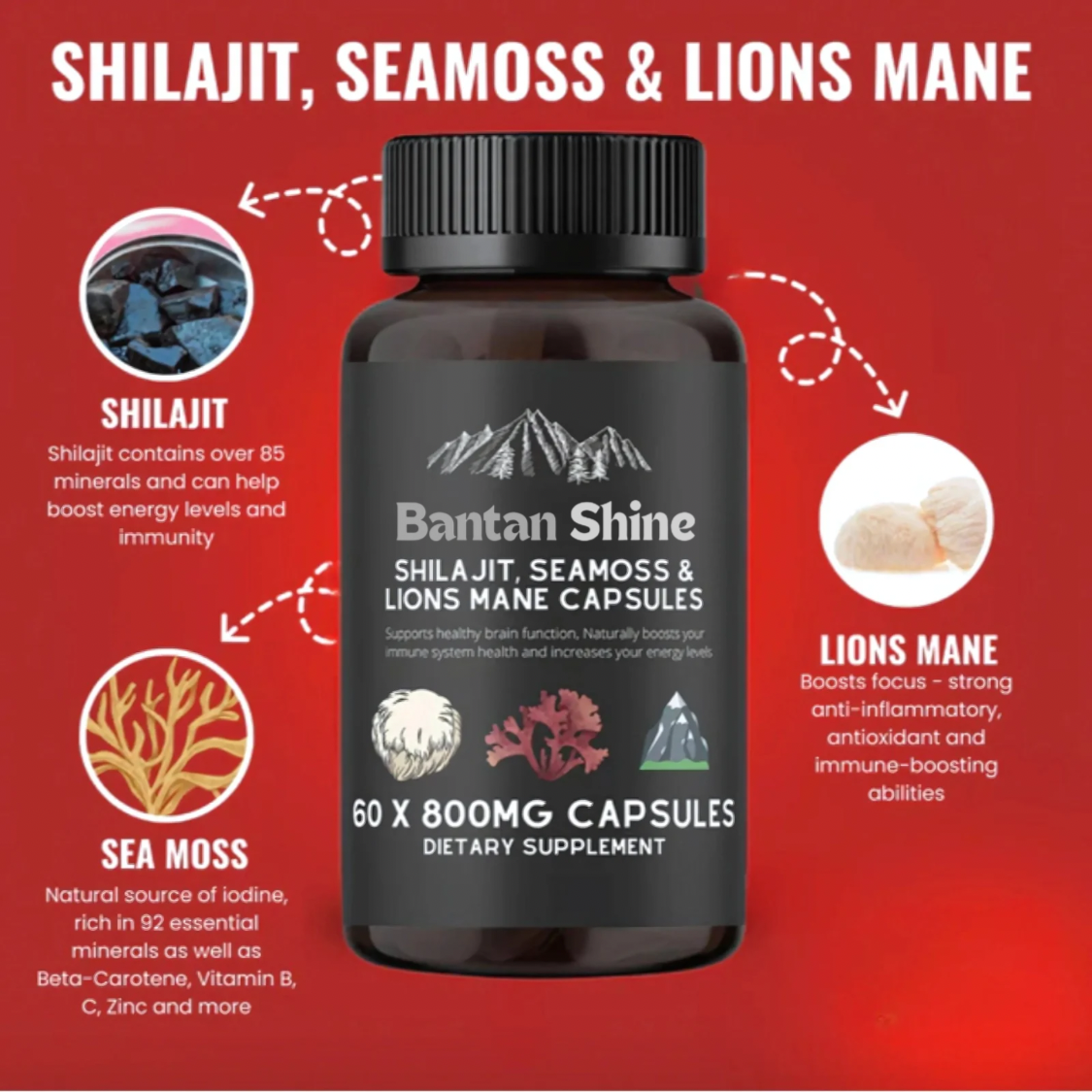 Shilajit, SeaMoss and Lions Mane Capsules - 60 Capsules - Vegan