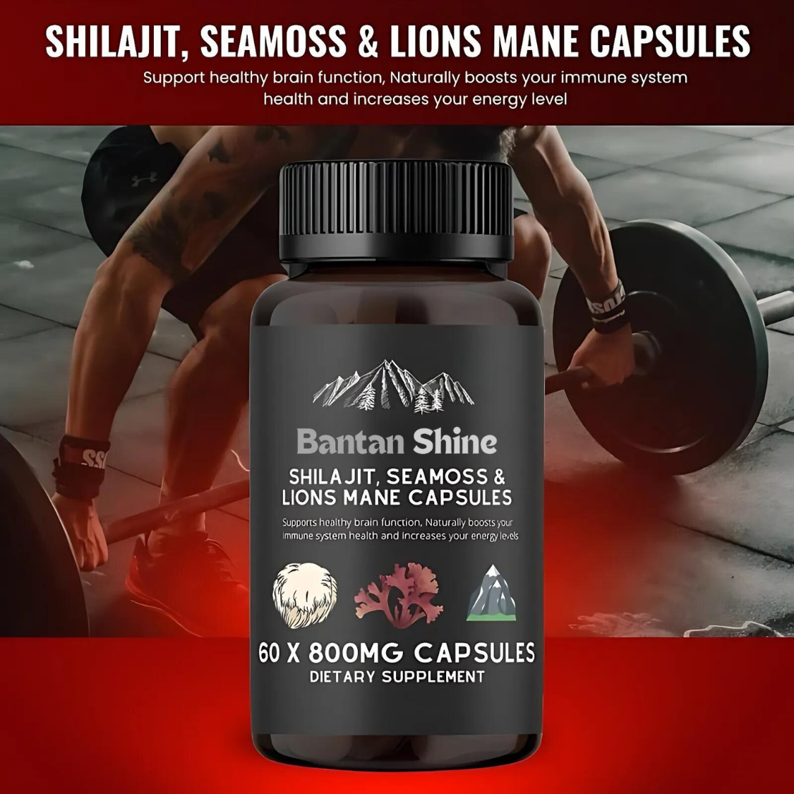 Shilajit, SeaMoss and Lions Mane Capsules - 60 Capsules - Vegan